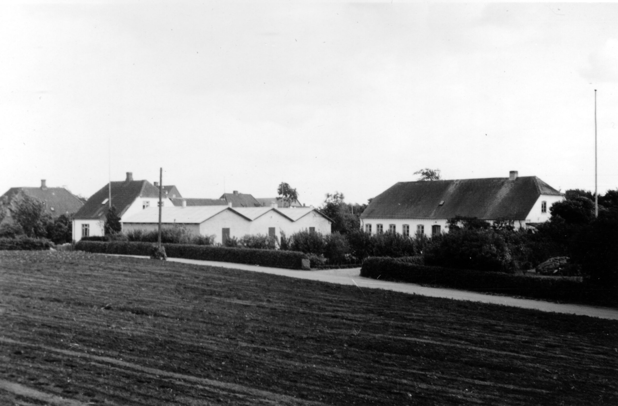3 væksthuse - omkring 1959