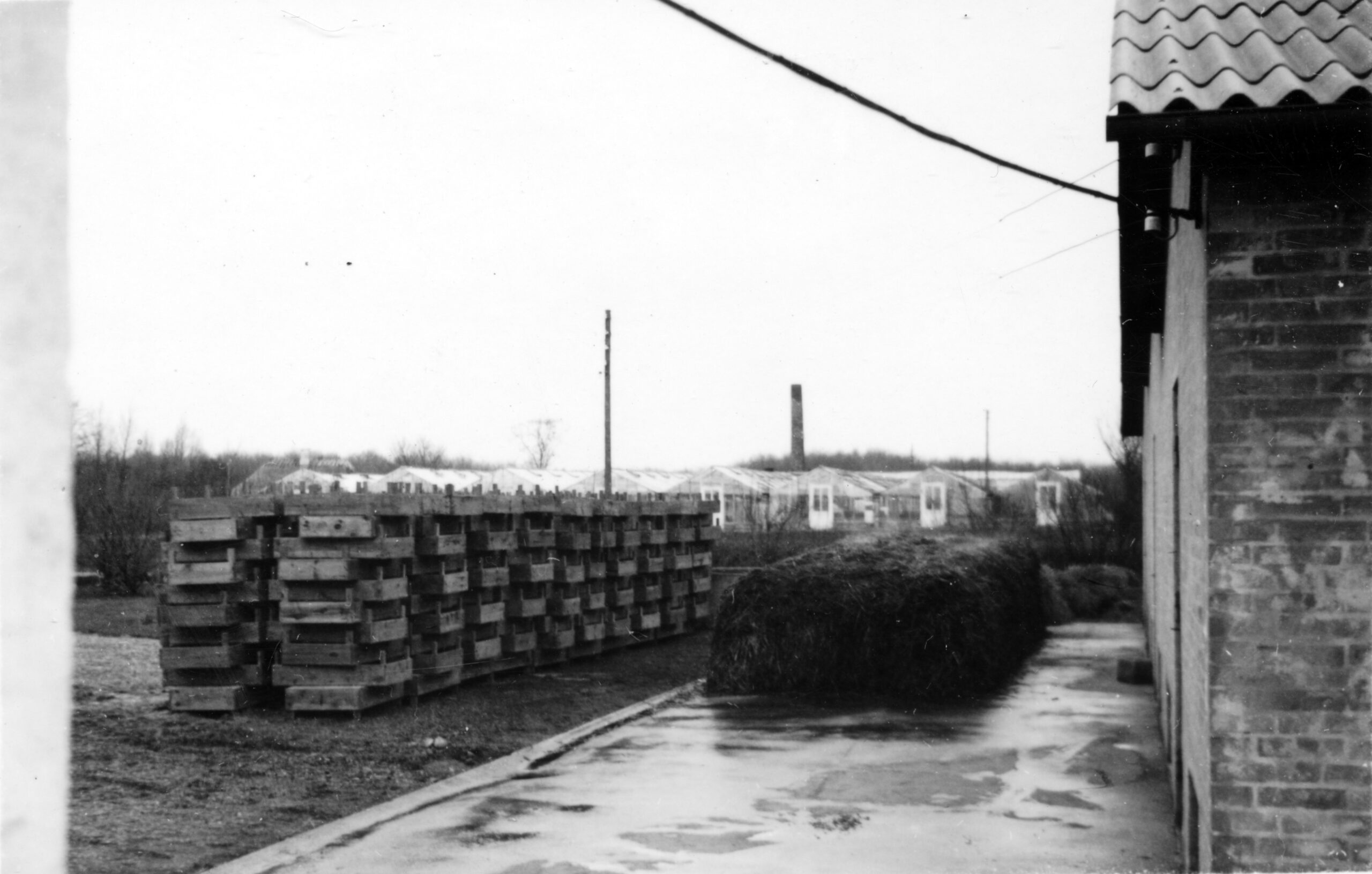 Gødningsstak og dyrkningskasser på cementen foran væksthusene